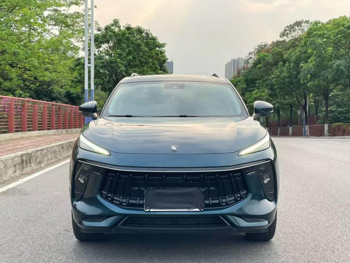 Dongfeng Forthing T5 EVO 1.5T Diamond Edition view 2