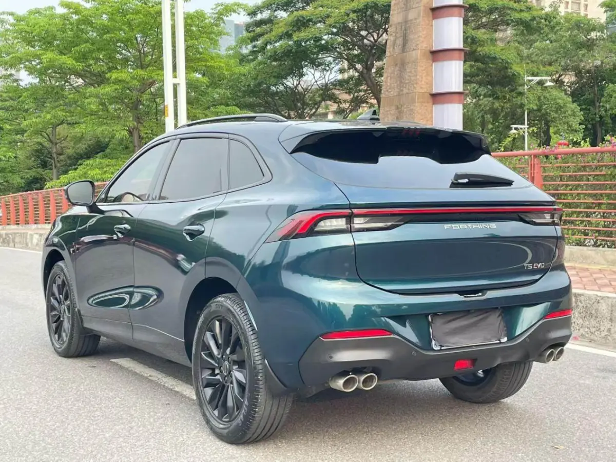 Dongfeng Forthing T5 EVO 1.5T Diamond Edition view 7