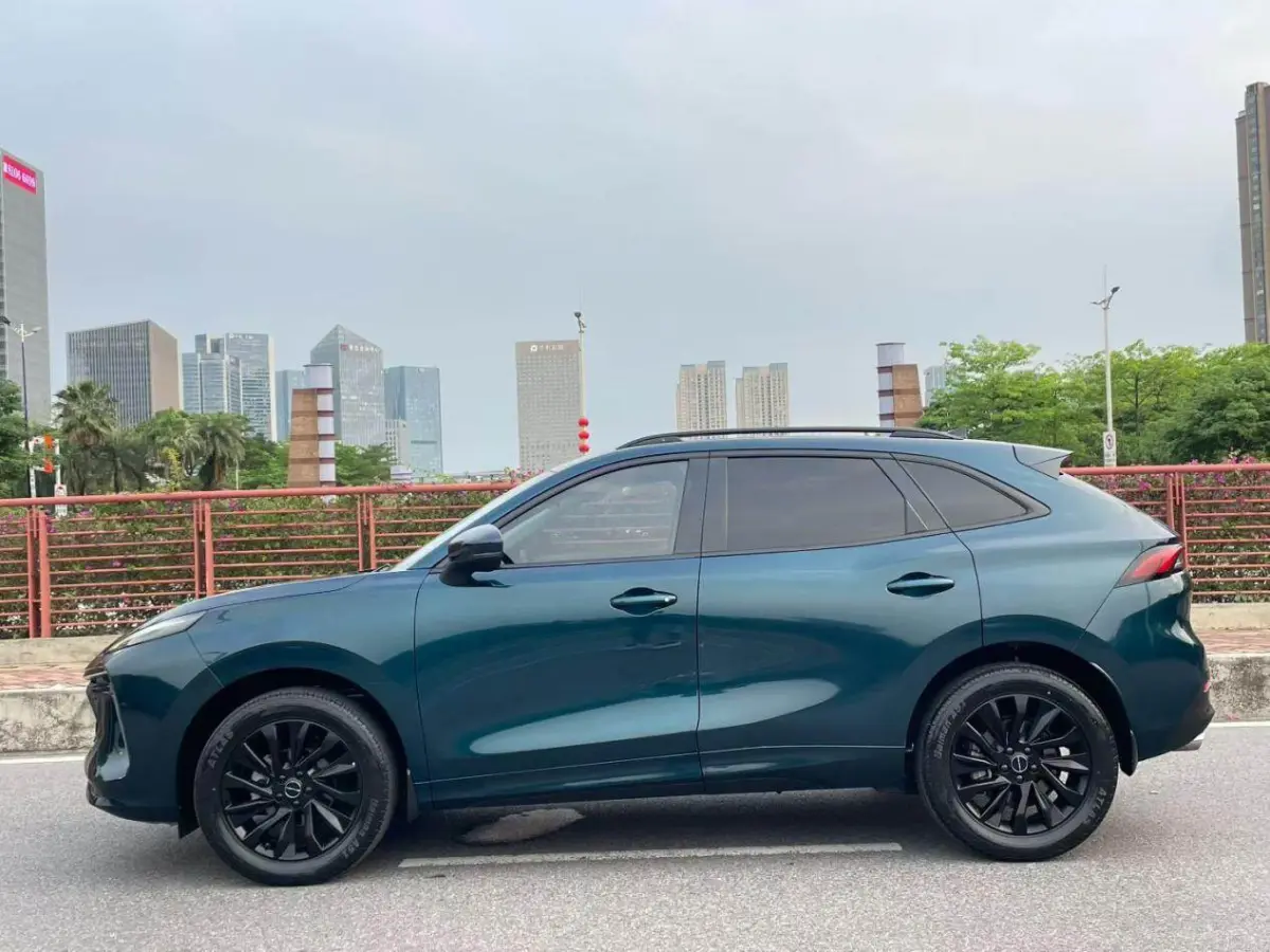 Dongfeng Forthing T5 EVO 1.5T Diamond Edition view 8