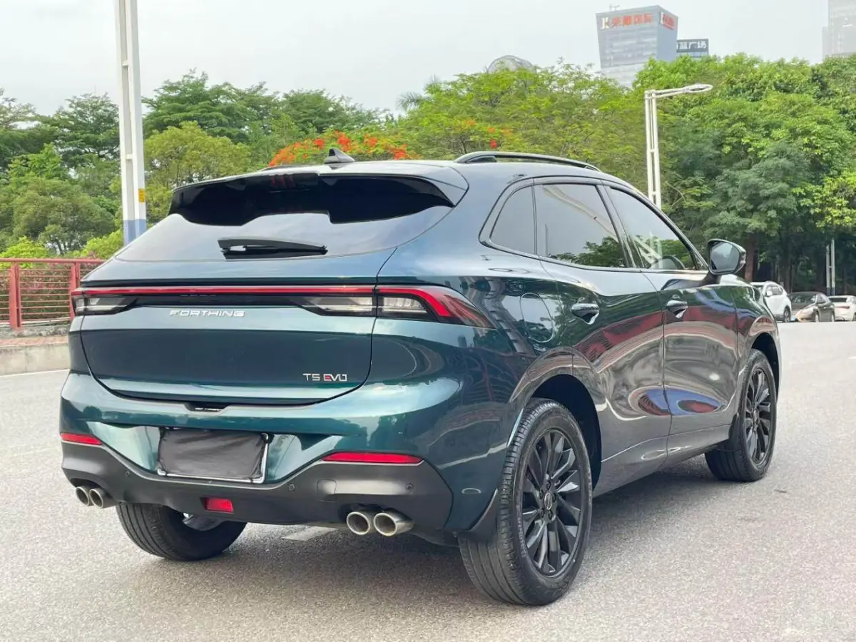 Dongfeng Forthing T5 EVO 1.5T Diamond Edition view 9