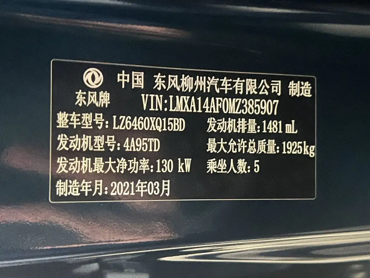 Dongfeng Forthing T5 EVO 1.5T Diamond Edition view 17