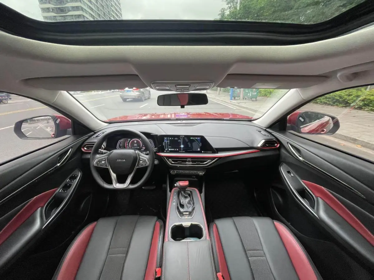 Chang’an Auchan X5 1.5T Premium Model view 9
