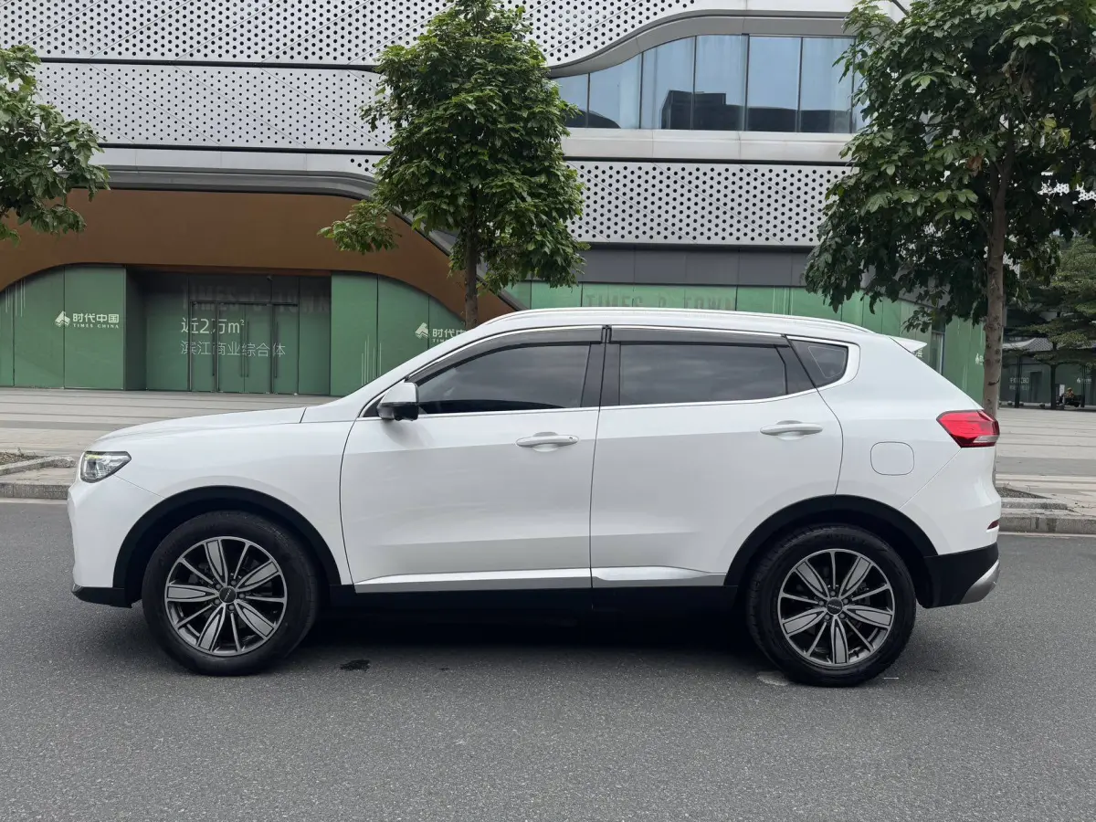Havel H6 1.5T Automatic Champion Edition view 12