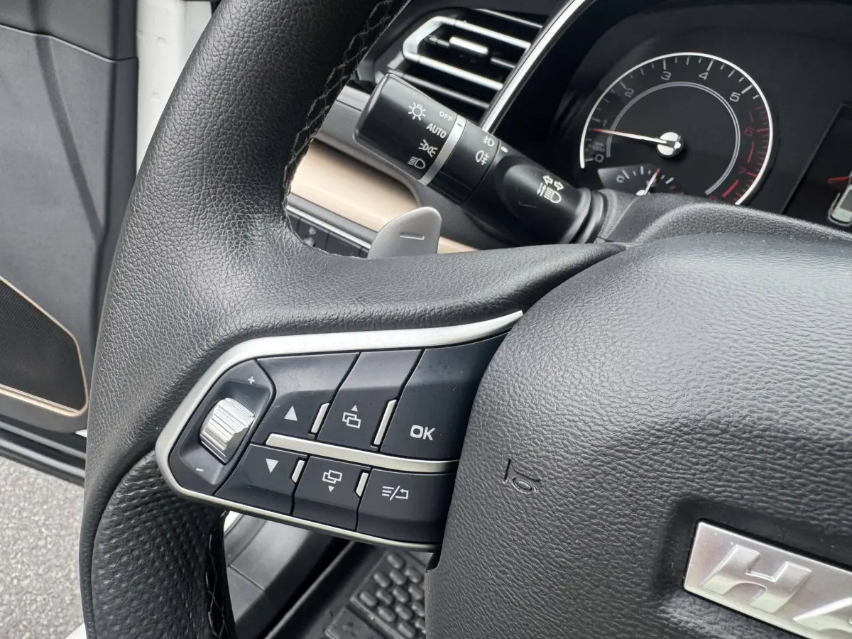 Havel H6 1.5T Automatic Champion Edition view 17