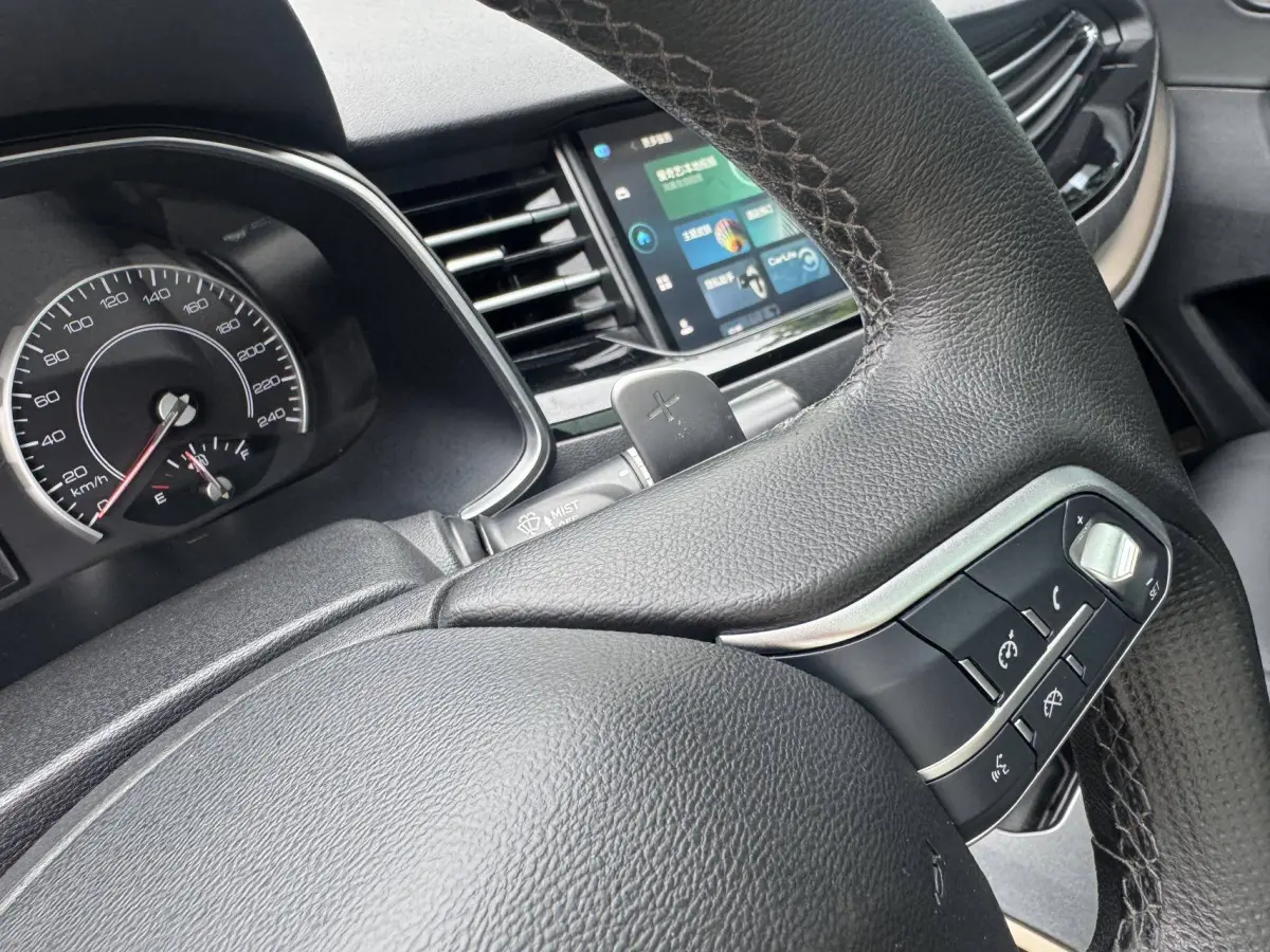 Havel H6 1.5T Automatic Champion Edition view 18