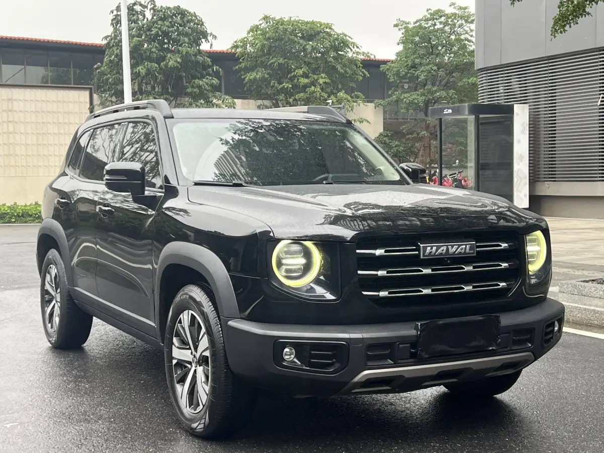Haval Big Dog 1.5T 2WD Labrador Edition （Haval Dargo 1.5T FWD Labrador Edition） view 2