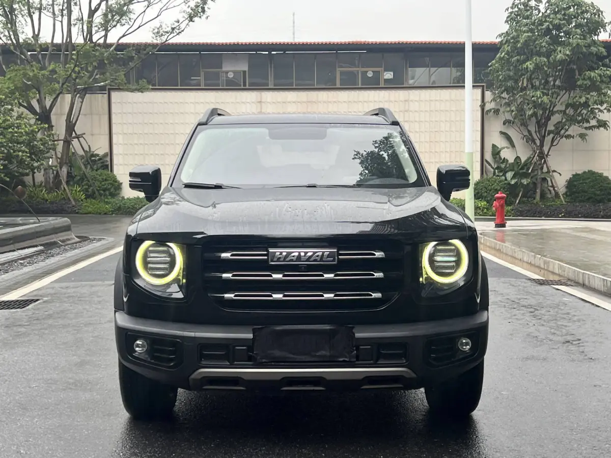 Haval Big Dog 1.5T 2WD Labrador Edition （Haval Dargo 1.5T FWD Labrador Edition） view 3