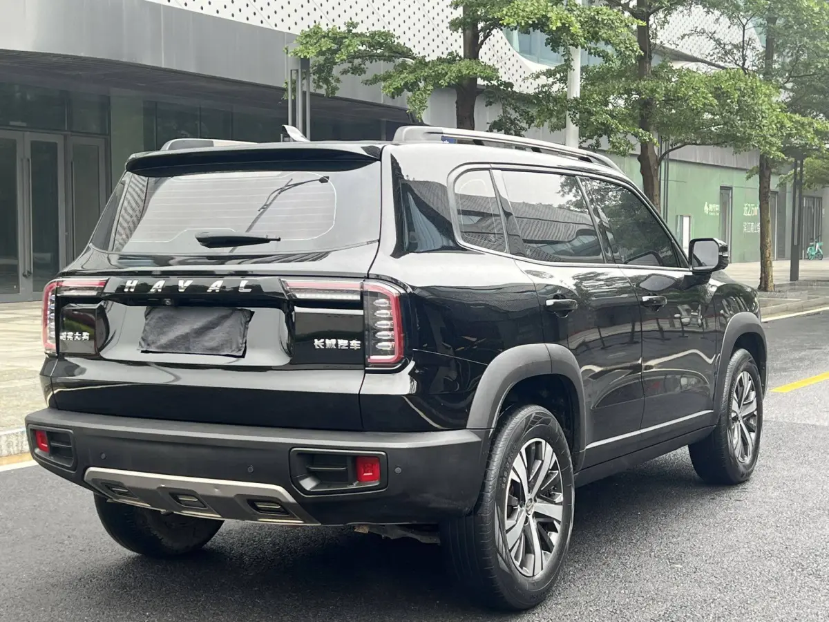 Haval Big Dog 1.5T 2WD Labrador Edition (Haval Dargo 1.5T FWD Labrador Edition) view 5