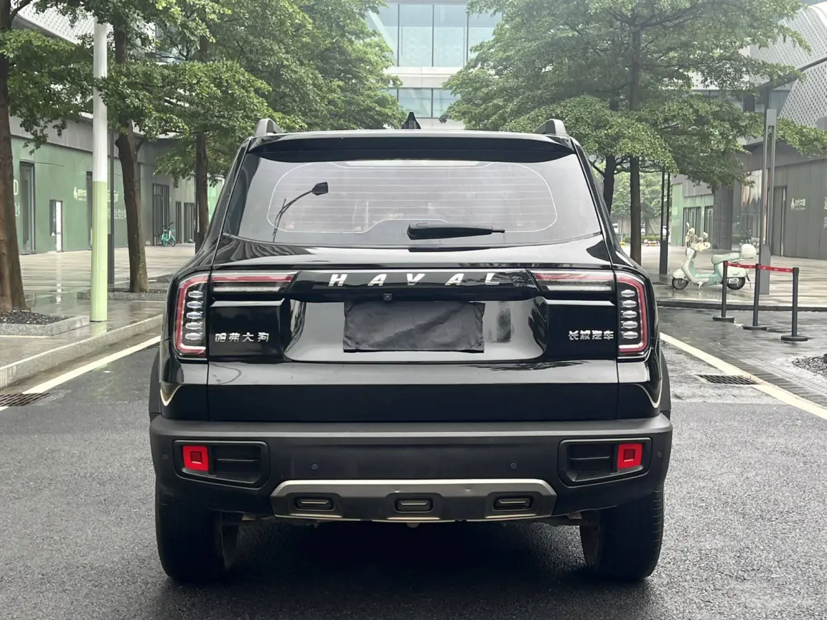 Haval Big Dog 1.5T 2WD Labrador Edition (Haval Dargo 1.5T FWD Labrador Edition) view 6