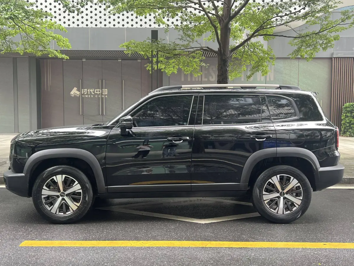 Haval Big Dog 1.5T 2WD Labrador Edition (Haval Dargo 1.5T FWD Labrador Edition) view 7