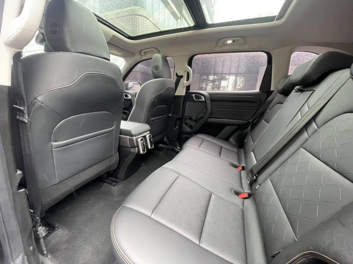Haval Big Dog 1.5T 2WD Labrador Edition (Haval Dargo 1.5T FWD Labrador Edition) view 10