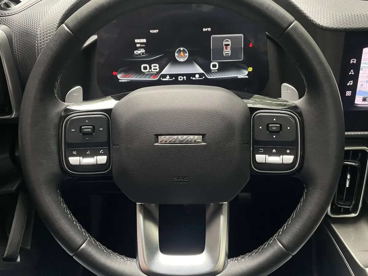 Haval Big Dog 1.5T 2WD Labrador Edition (Haval Dargo 1.5T FWD Labrador Edition) view 12