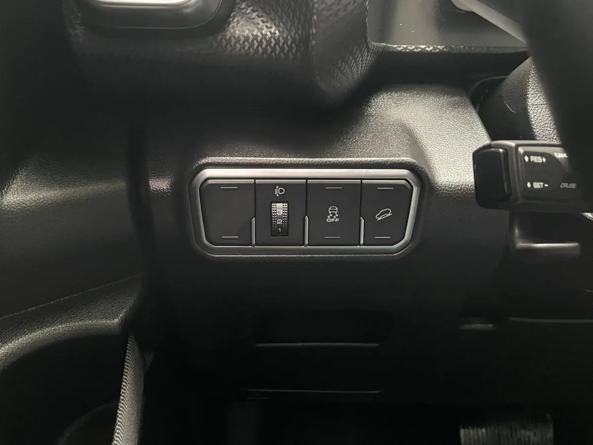 Haval Big Dog 1.5T 2WD Labrador Edition (Haval Dargo 1.5T FWD Labrador Edition) view 14