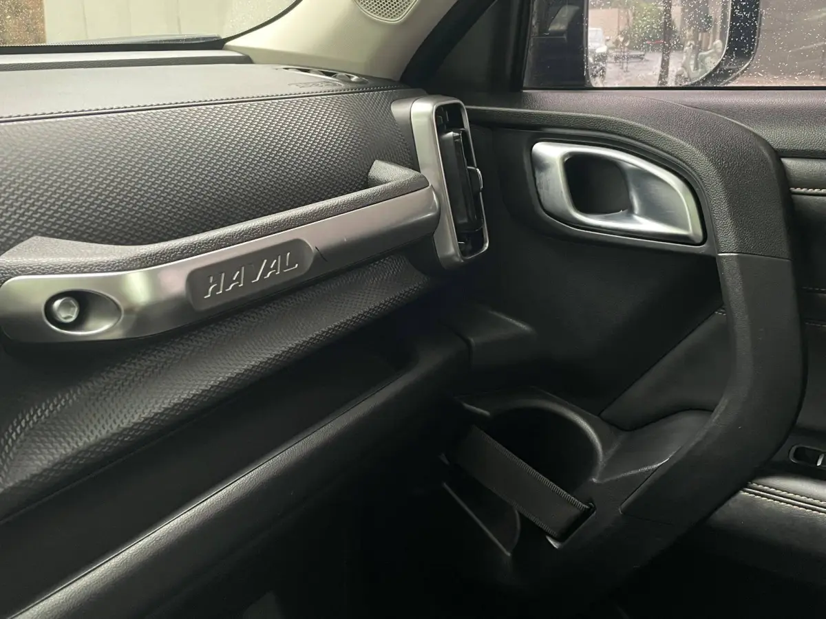 Haval Big Dog 1.5T 2WD Labrador Edition (Haval Dargo 1.5T FWD Labrador Edition) view 15