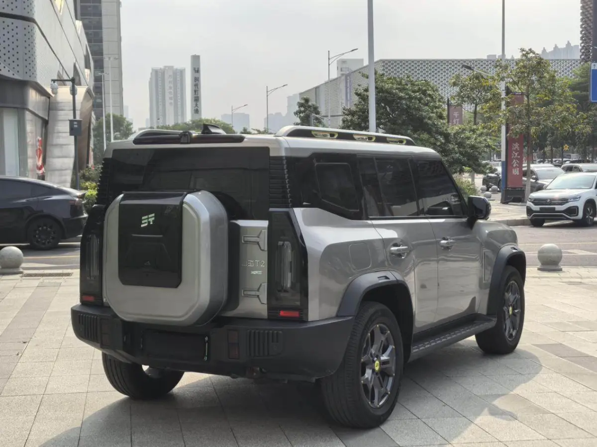 JETOUR Shanhai T2 C-DM 1.5T 129KM Woodland Edition view 6