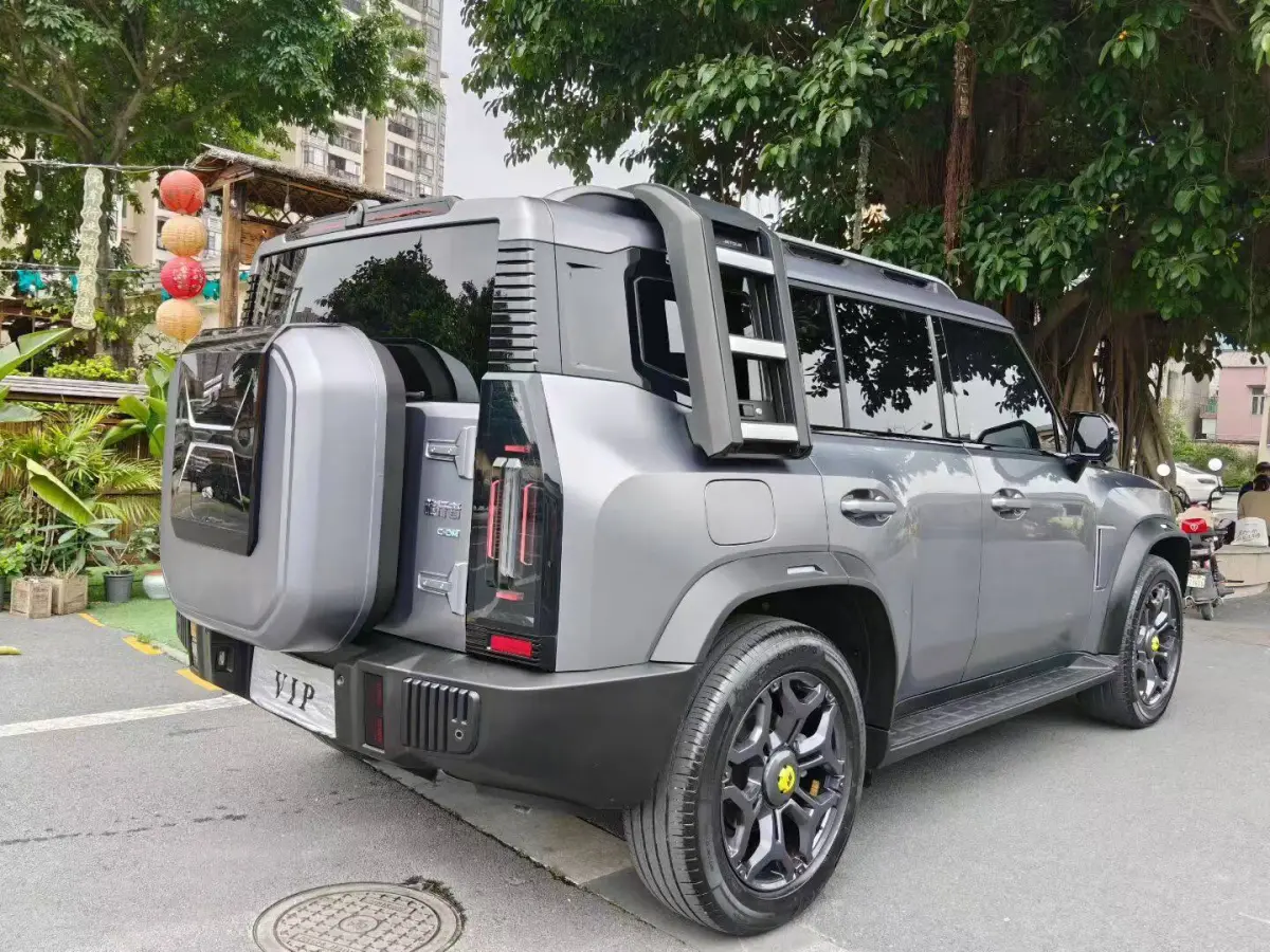 Jetour Shanhai T2 C-DM 208km Range Mountain Wild Edition view 15