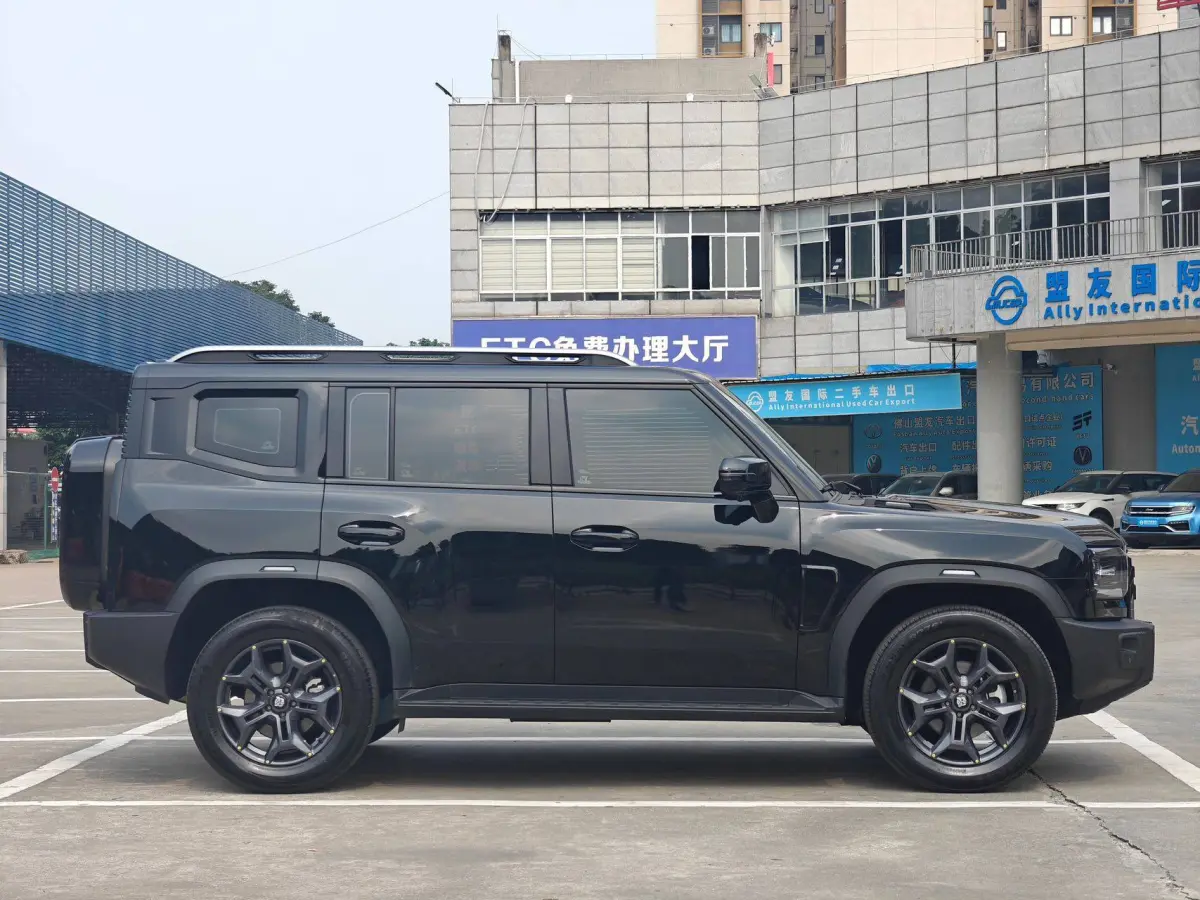 Jetour Traveler 2.0T 4WD Cross PRO view 5