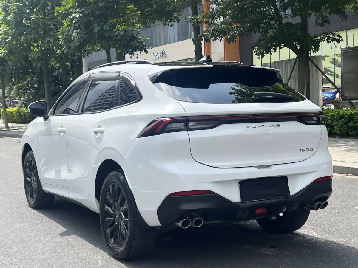 Dongfeng Forthing T5 EVO 1.5T DCT Diamond Edition view 4