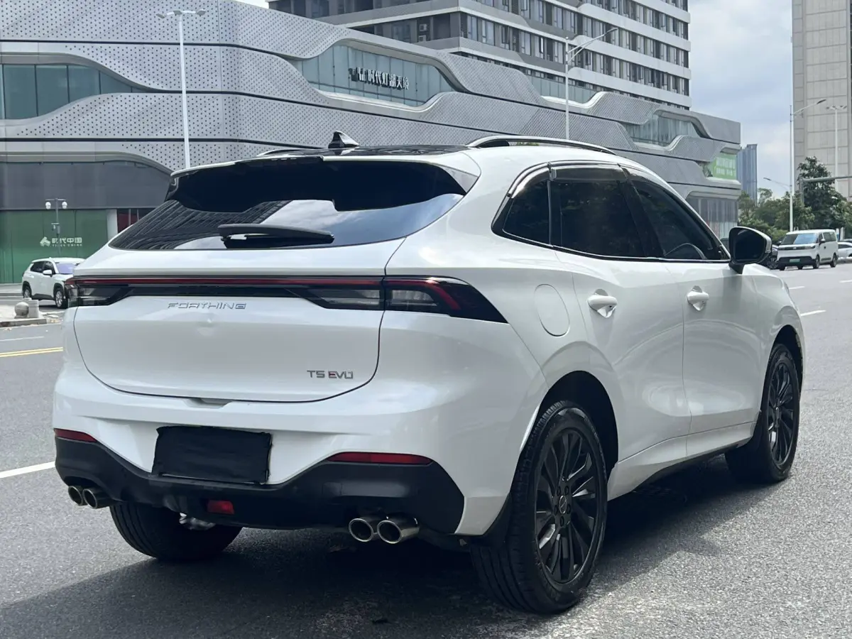Dongfeng Forthing T5 EVO 1.5T DCT Diamond Edition view 5