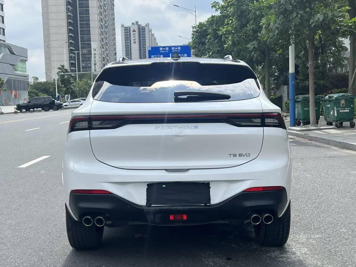 Dongfeng Forthing T5 EVO 1.5T DCT Diamond Edition view 6