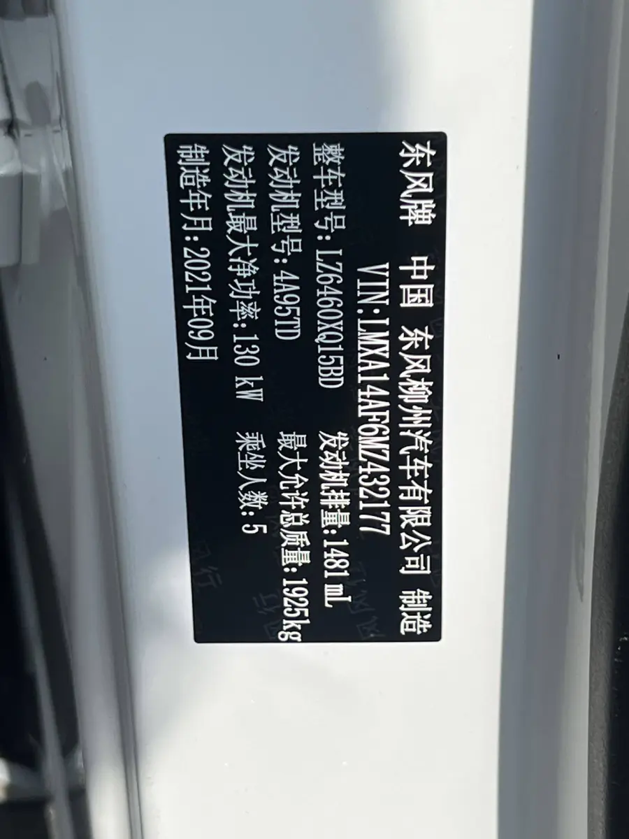 Dongfeng Forthing T5 EVO 1.5T DCT Diamond Edition view 15