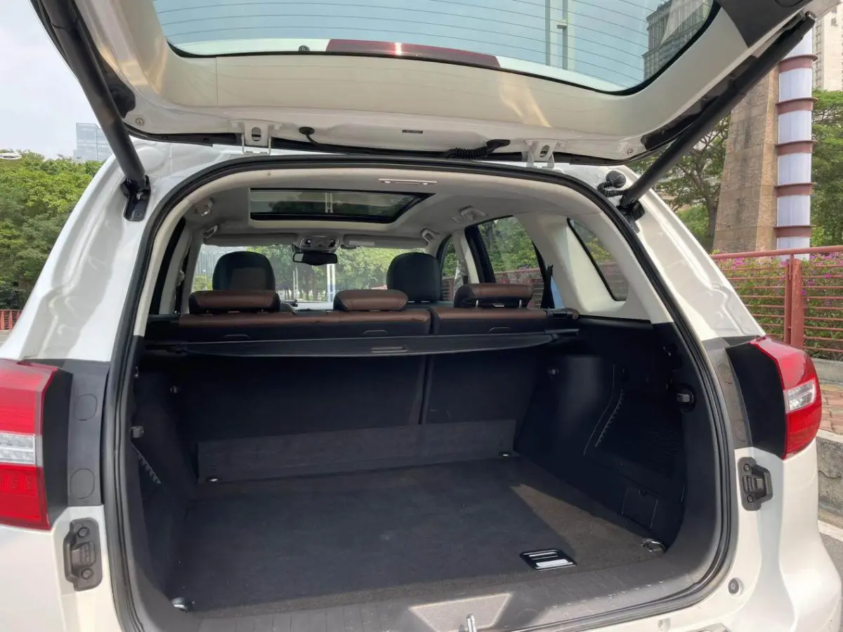 Haval H8, 2.0T Automatic 2WD Premium Edition view 8