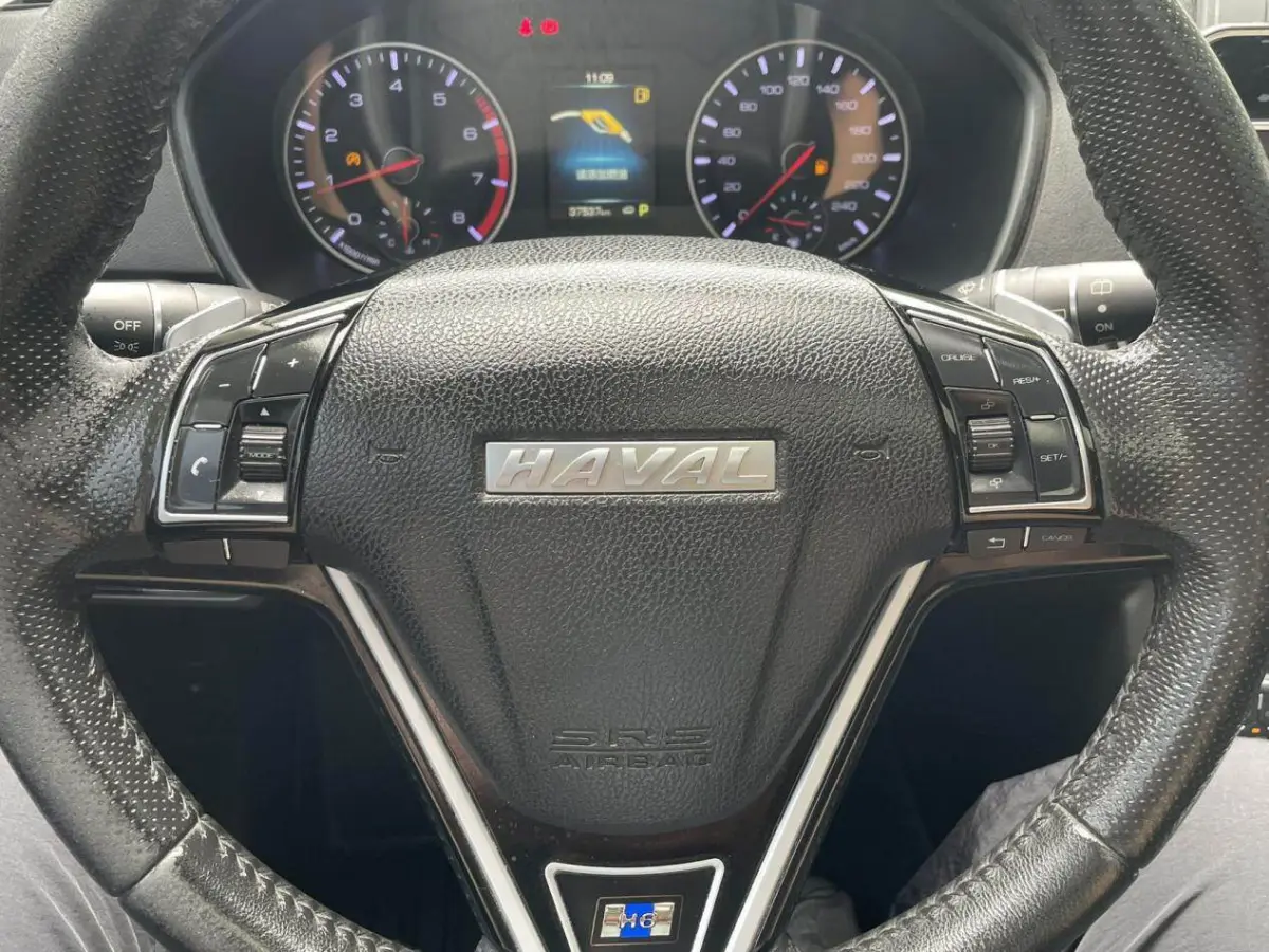 Haval H6 1.5T automatic luxury version view 12